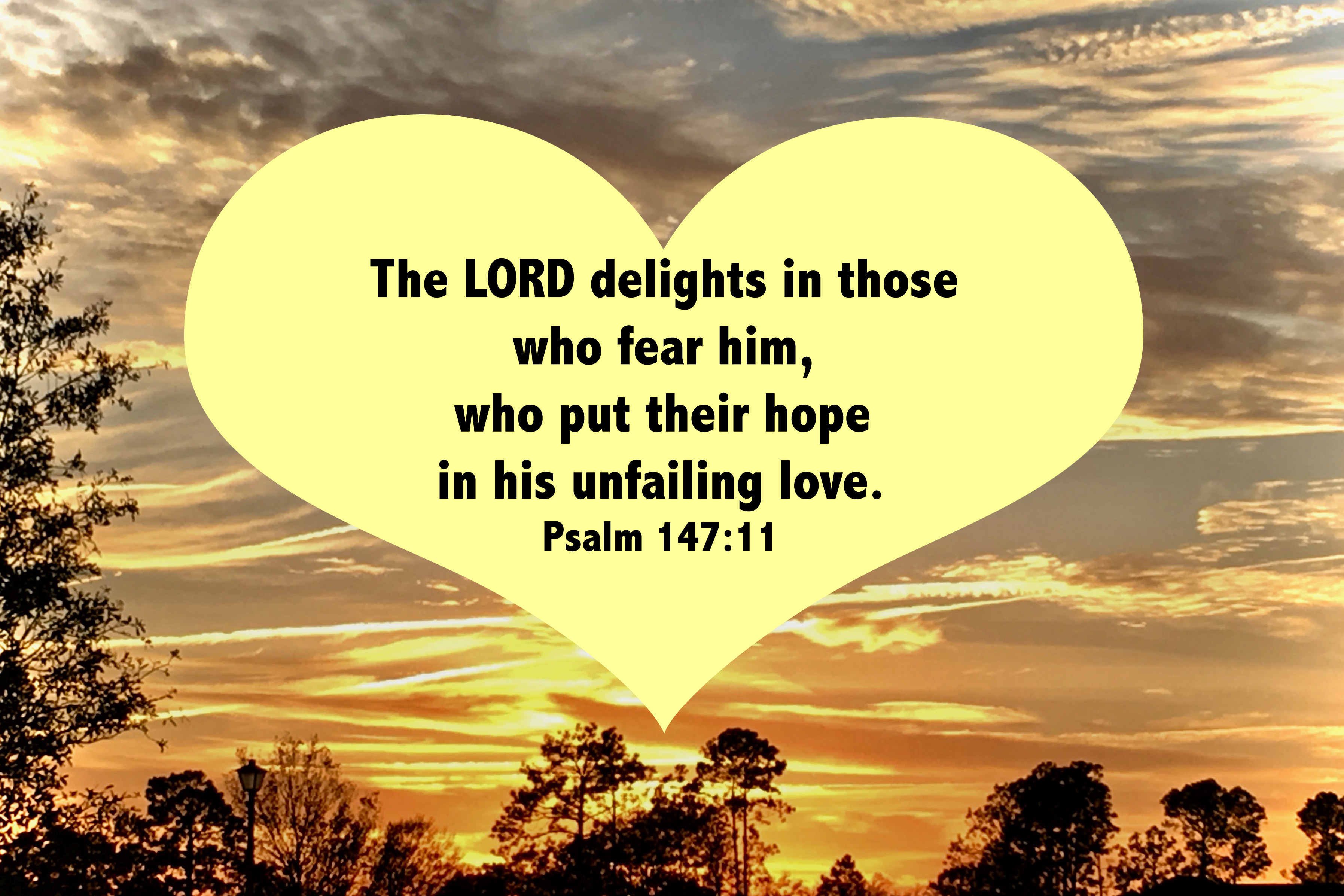 psalm 147-11.jpg