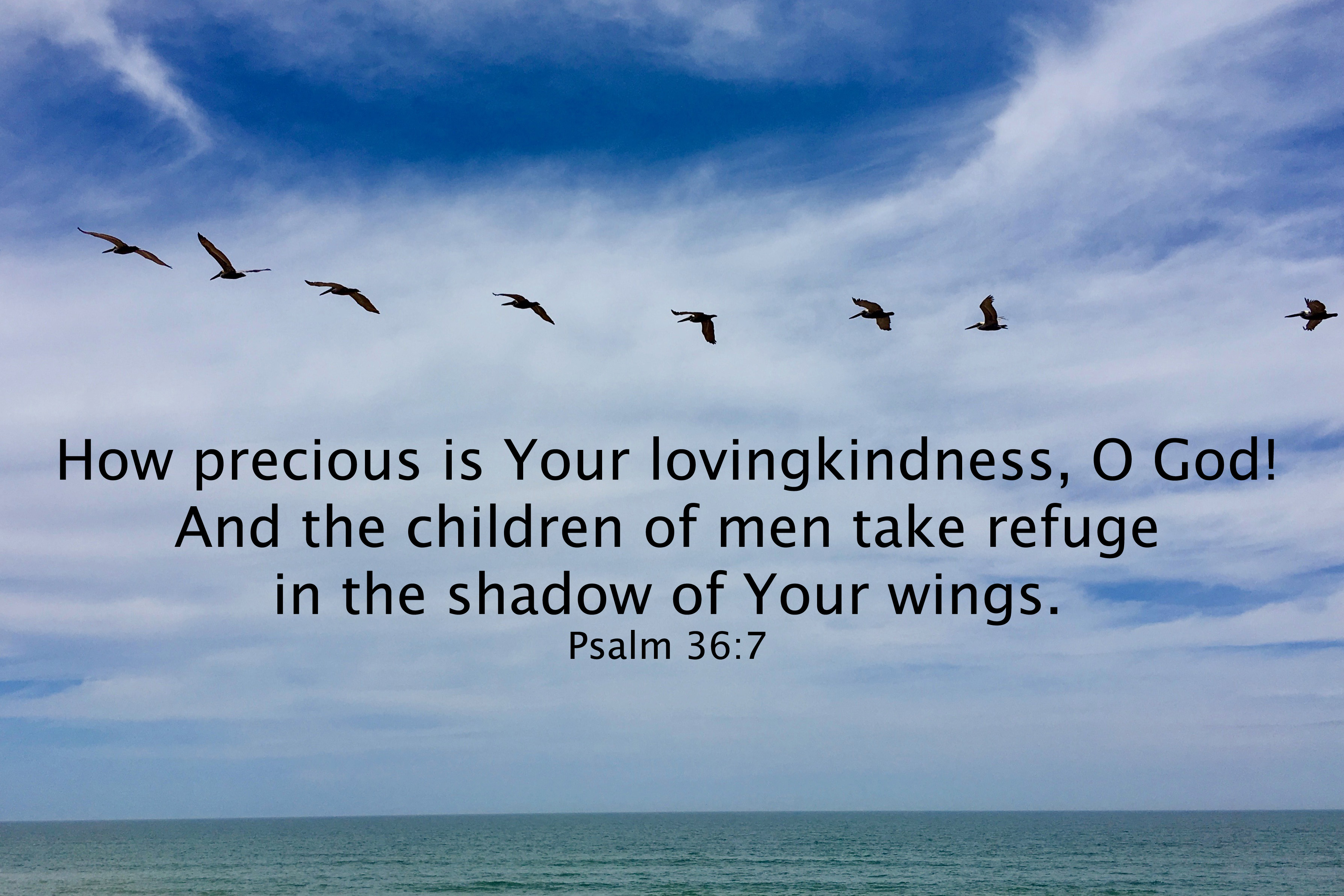 Psalm 36-7.jpg